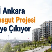 Şehir