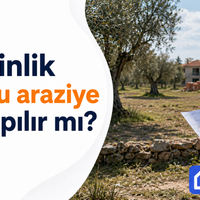Arsa