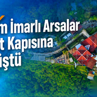 Arsa