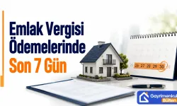 Emlak Vergisi Ödemelerinde Son Gün