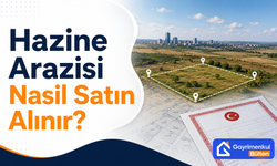 Hazine Arazisi Nasıl Satın Alınır?