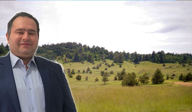 Sapanca’da Arazi Piyasası Yeniden Şekilleniyor: İlgi Kırsala Kaydı