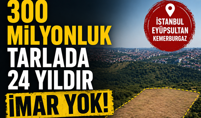 Eyüpsultan'da 300 Milyonluk İhale: 24 Yıldır İmar Bekleyen Tarlalar Satışta!