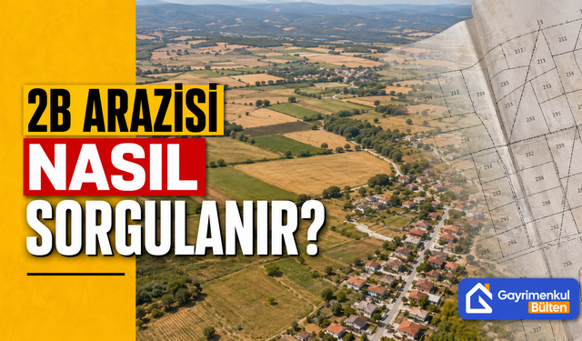 2B Arazisi Nasıl Sorgulanır?